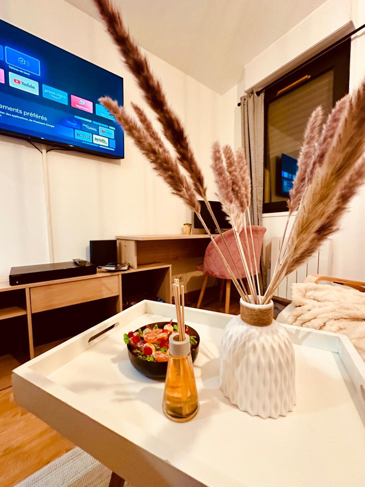 Appartement Elegant A Conflant 콩프란스상테호노린느 외부 사진